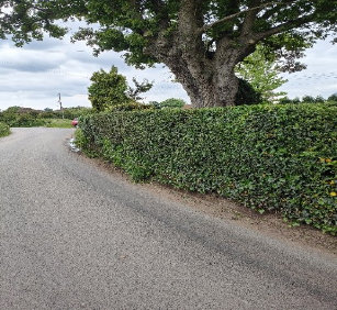 Hedge and conifer trimming services for kidderminster, wyre forest and worcestershire by Heritage Garden Maintenance Services