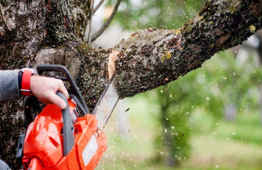 Tree surgery and maintenance service - Heritage Garden Maintenance Services - Email - enquiries@gardenmaintenanceservices.uk