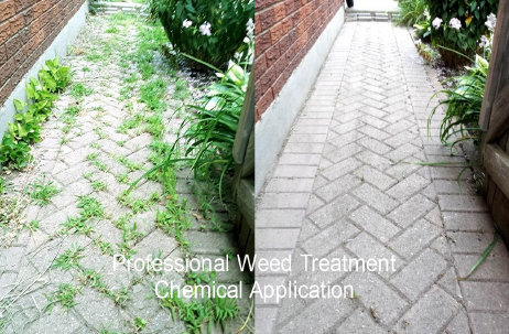 Herbicide spraying specialists and weed control for kidderminster, wyre forest & worcestershire by Heritage Maintenance Services
